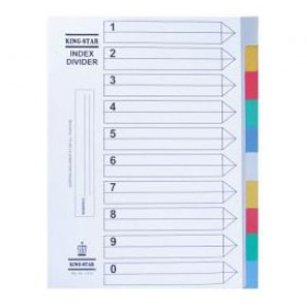 Phân trang nhựa 10