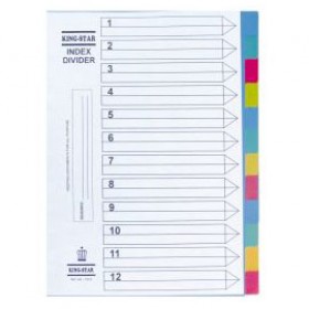 Phân trang nhựa 12